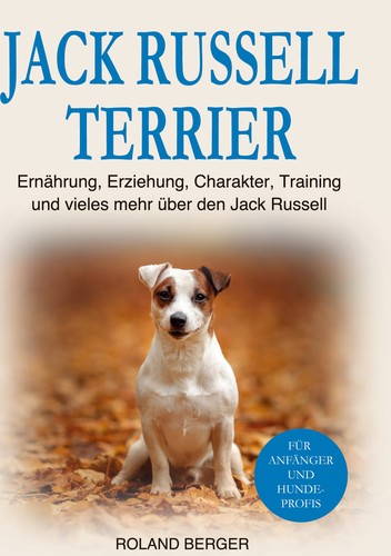Jack russell terrier - jack,