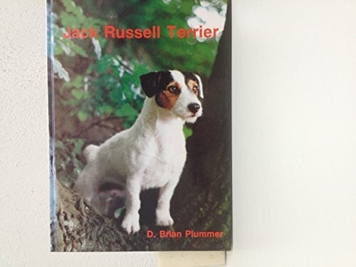 Jack russell terrier buch - jack,