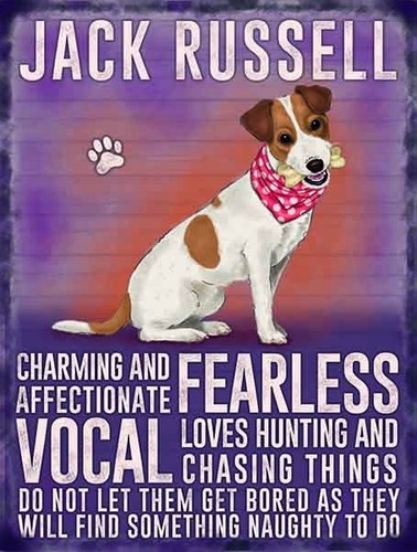 Insegna jack russell - insegna,