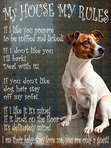 Jack russell dog house my - jack,