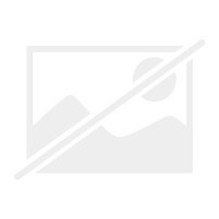 Jack russell terrier von - russell,